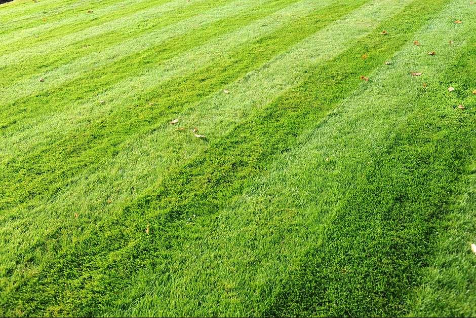 string trimmer edging