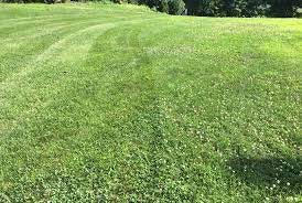 lawn care tools