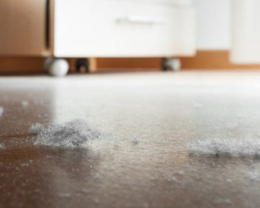 vacuum for allergies