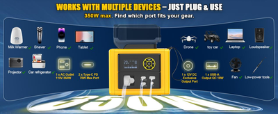 WHAT CAN A LIVOWALNY 350W BATTERY INVERTER POWER