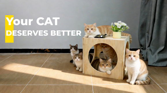 diy cat house