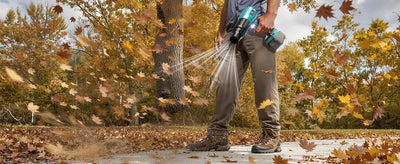 FALL YARD CLEANUP GUIDE: HOW TO CHOOSE THE RIGHT LEAF BLOWER