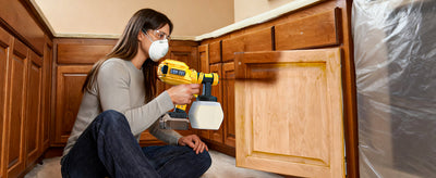 cordless paint sprayer