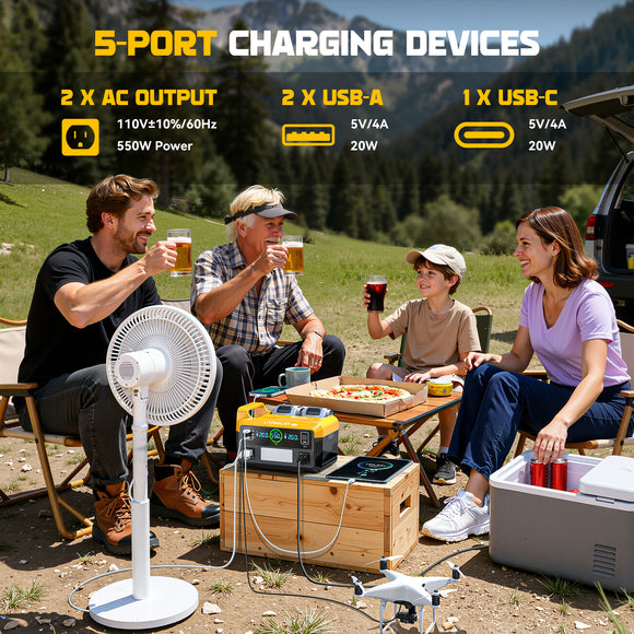 LIVOWALNY Portable Generator DC 20V to AC 110-120V,550W Power Station Compatible with Dewalt