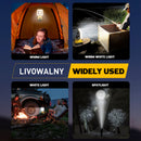 Cordless LED Work Light for Dewalt 20v Battery, LIVOWALNY 60W 6000 Lumens LED Flood Light (No Battery)-6