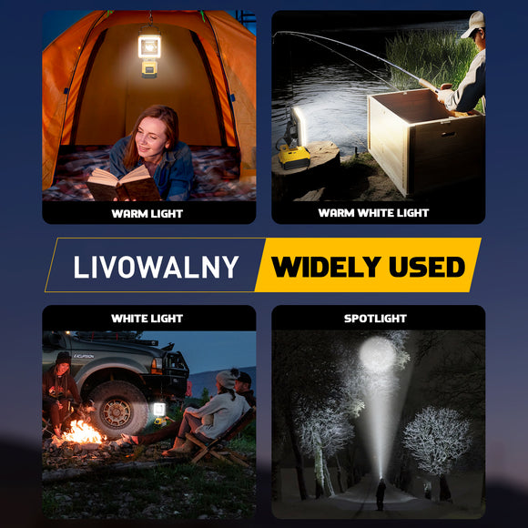 Cordless LED Work Light for Dewalt 20v Battery, LIVOWALNY 60W 6000 Lumens LED Flood Light (No Battery)