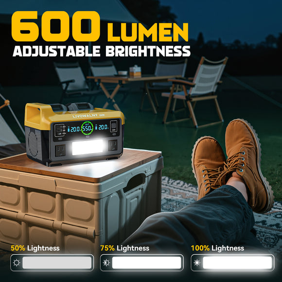 LIVOWALNY Portable Generator DC 20V to AC 110-120V,550W Power Station Compatible with Dewalt