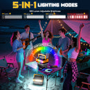 LIVOWALNY 350W Portable Generator DC 20V to AC 110-120V Power Inverter,350W Power Station Compatible with Dewalt-12